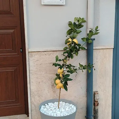 Casa Monteserrato